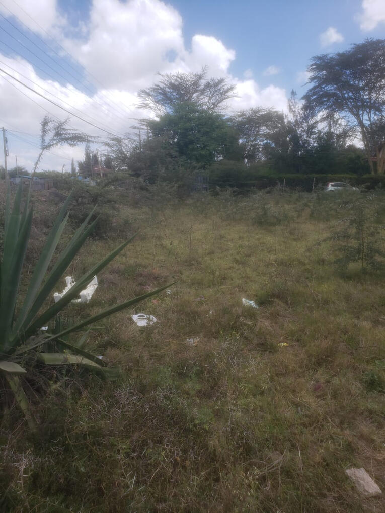 Land for Sale in Mavoko 10