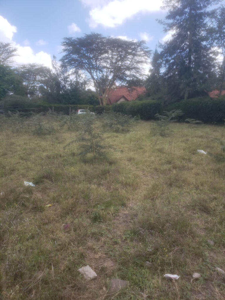 Land in Mavoko for Sale 9