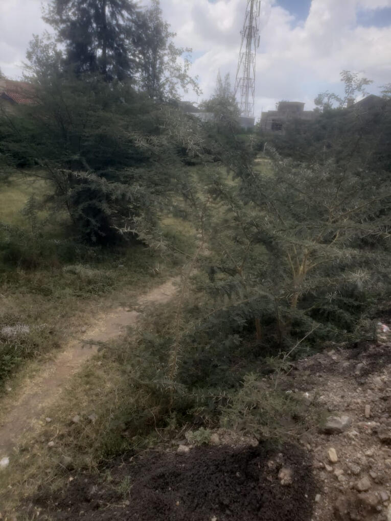 Land in Mavoko for Sale 4