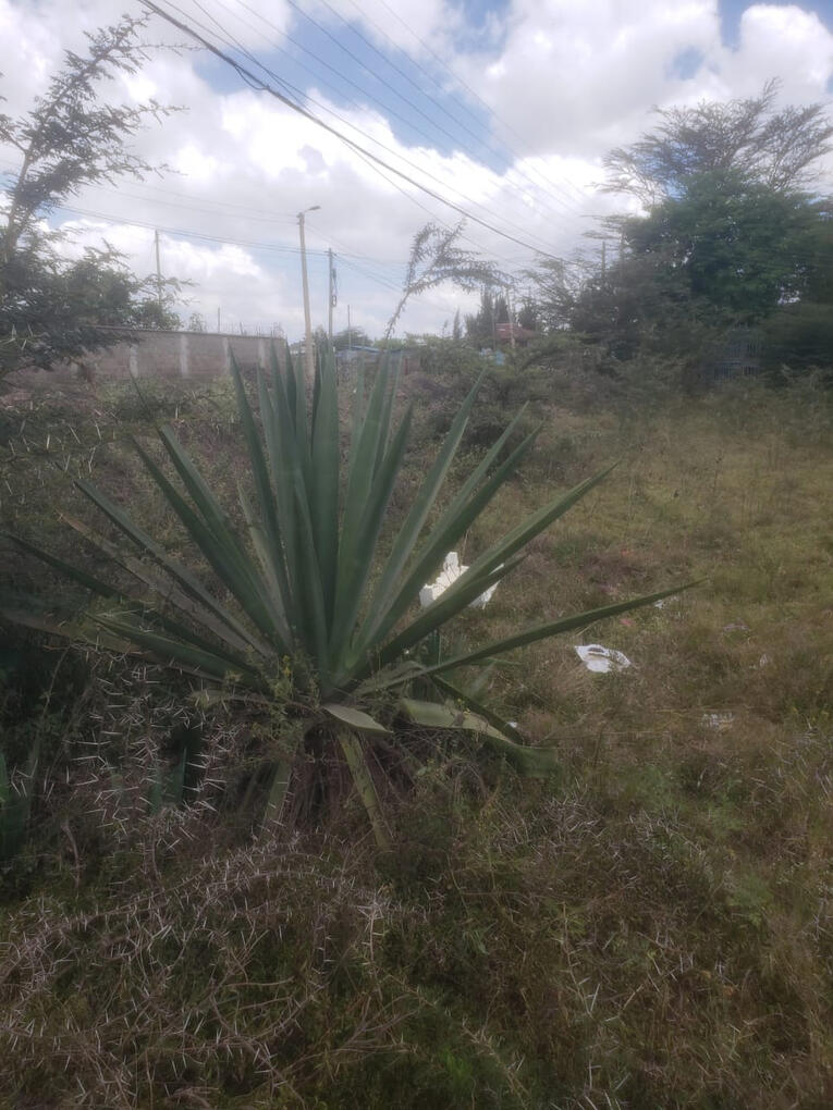Land for Sale in Mavoko 13
